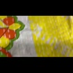 listing-video-1