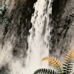 listing-video-1