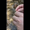 listing-video-1