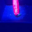 listing-video-1