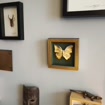 listing-video-13