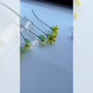 listing-video-1