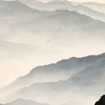 listing-video-1
