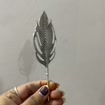 listing-video-1