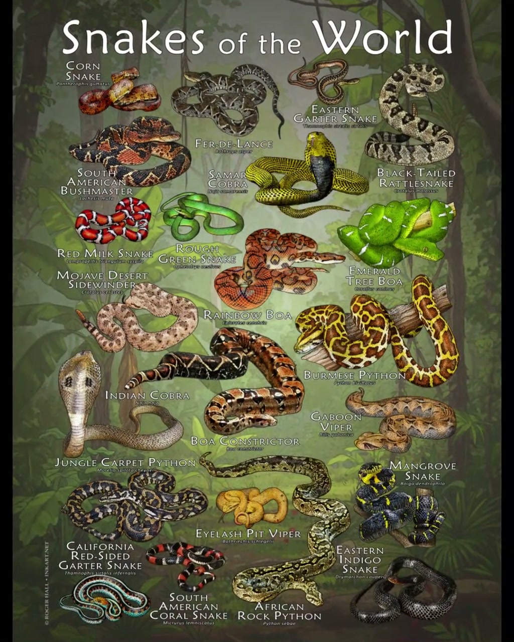 listing_poster_v1.jpg