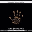 listing-video-1