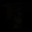 listing-video-1