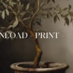 listing-video-1