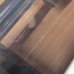 listing-video-1