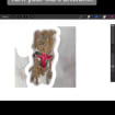 listing-video-1