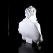 listing-video-1