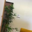 listing-video-1