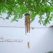 listing-video-1