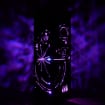 listing-video-1