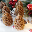 listing-video-1