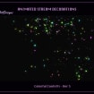 listing-video-1