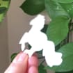 listing-video-1