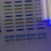listing-video-1