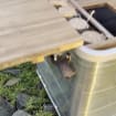 listing-video-1