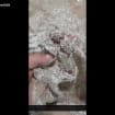 listing-video-1