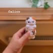 listing-video-1