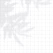 listing-video-1