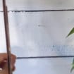 listing-video-1
