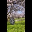 listing-video-1