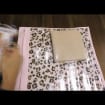 listing-video-1