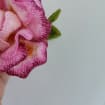 3D Rose Embroidery Design: FSL Flower Motif, 4x4 Hoop (digital Download ...