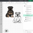 listing-video-1