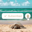 listing-video-1