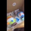 listing-video-1
