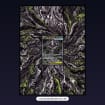 listing-video-1