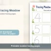 listing-video-1