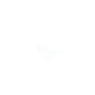 listing-video-1