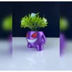 listing-video-1