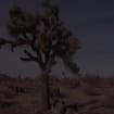 listing-video-1