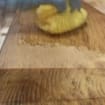 listing-video-1