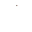 listing-video-1