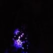 listing-video-1