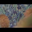 listing-video-1