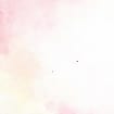 listing-video-1