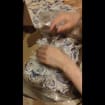 listing-video-1
