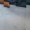 listing-video-1