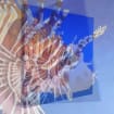 listing-video-1