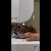 listing-video-1