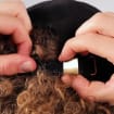listing-video-1