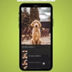 listing-video-1