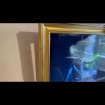 listing-video-1